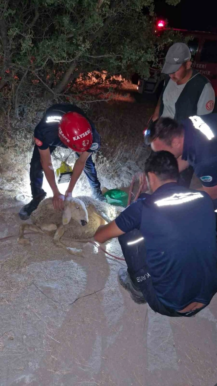 30 metrelik kuyuya düşen koyunu itfaiye kurtardı
