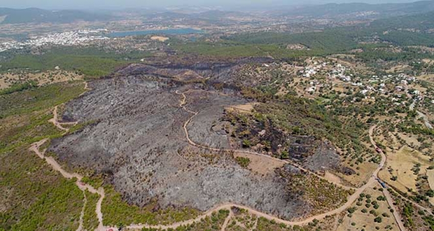 Bodrum'da kömür karasına dönen alanlar görüntülendi