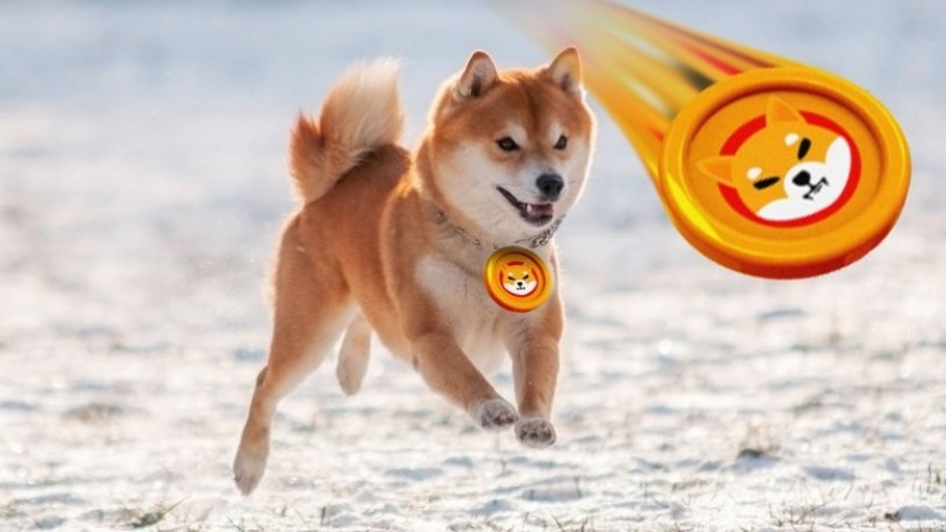 Kripto para Shiba Inu rekor kırdı!