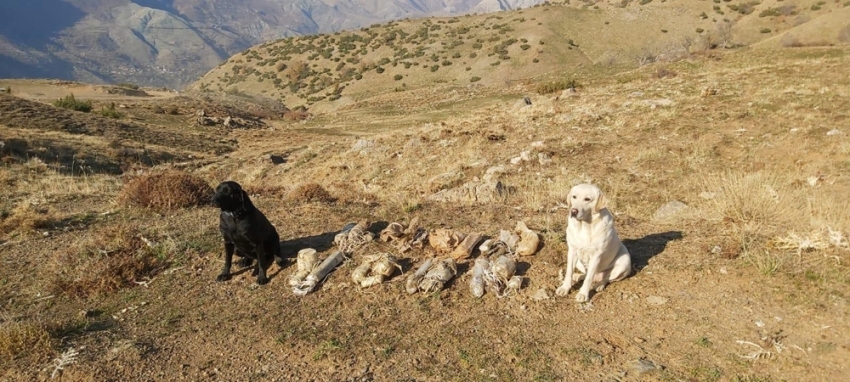 Bitlis’te terör örgütüne ait 8 adet EYP ele geçirildi