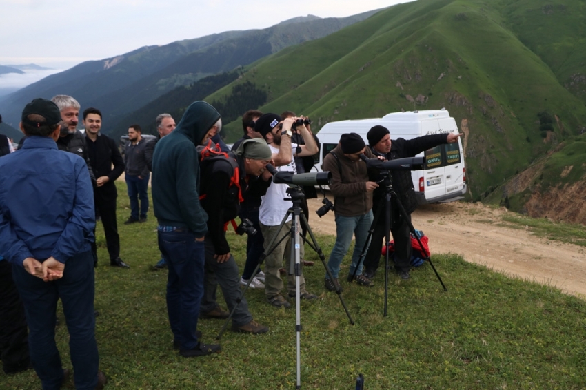 Dağ horozu kendini 3 yıl sonra 2 km uzaktan dürbünle gösterdi