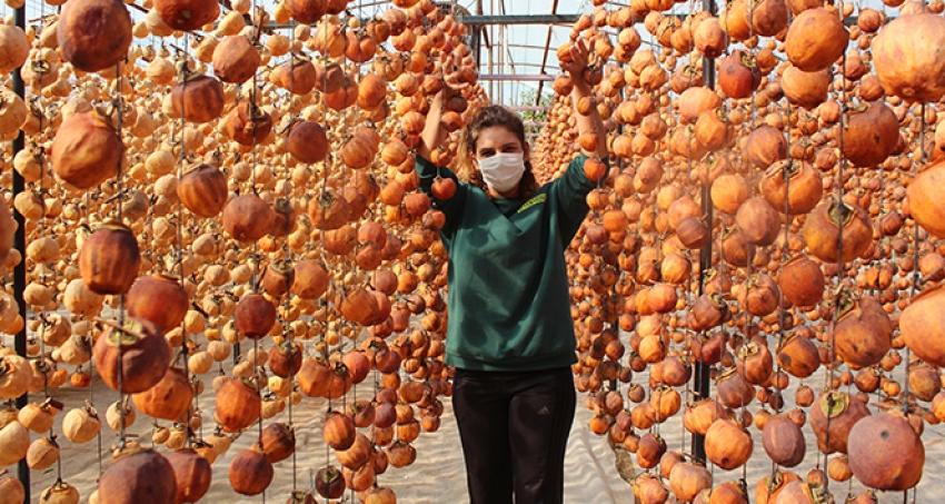 40 kiloyla başladı bu yıl hedefi 15 ton