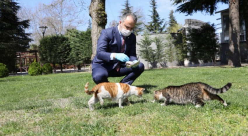 Büyükşehir Belediyesi'nden örnek çalışma