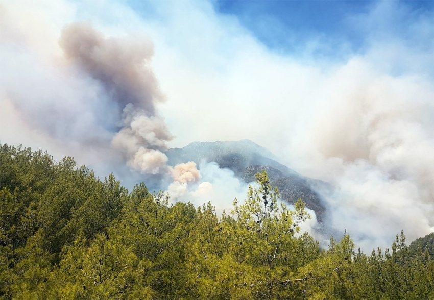 Köyceğiz’de 2 mahalle boşaltılıyor