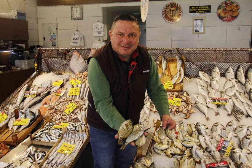 Avlanma yasağı öncesinde, tezgahta balık fiyatları