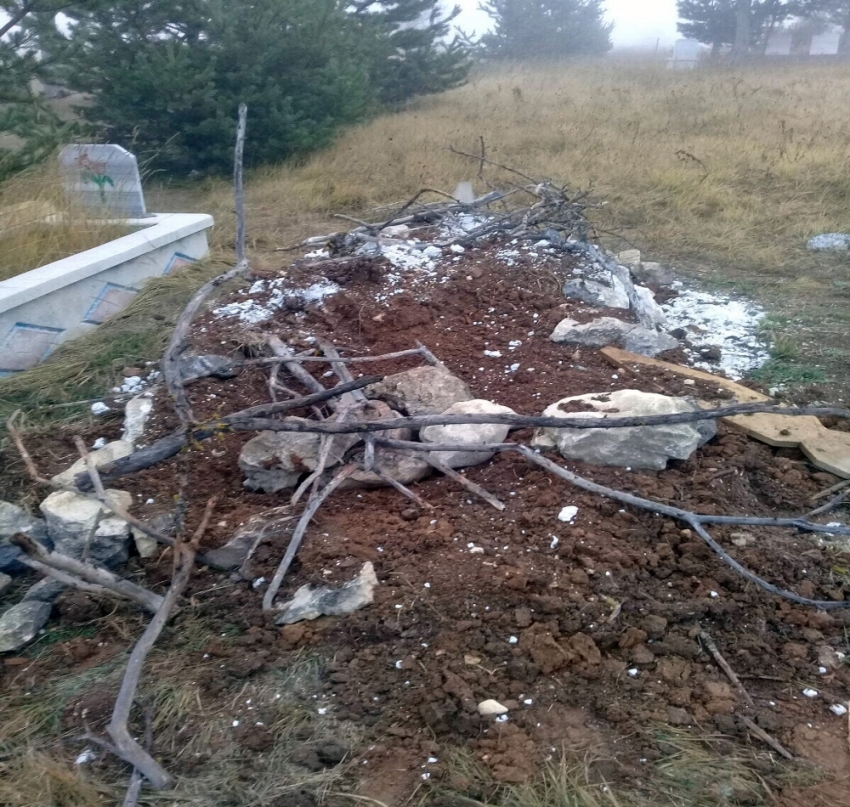 Aç kalan ayılar, mezarlara dadandı