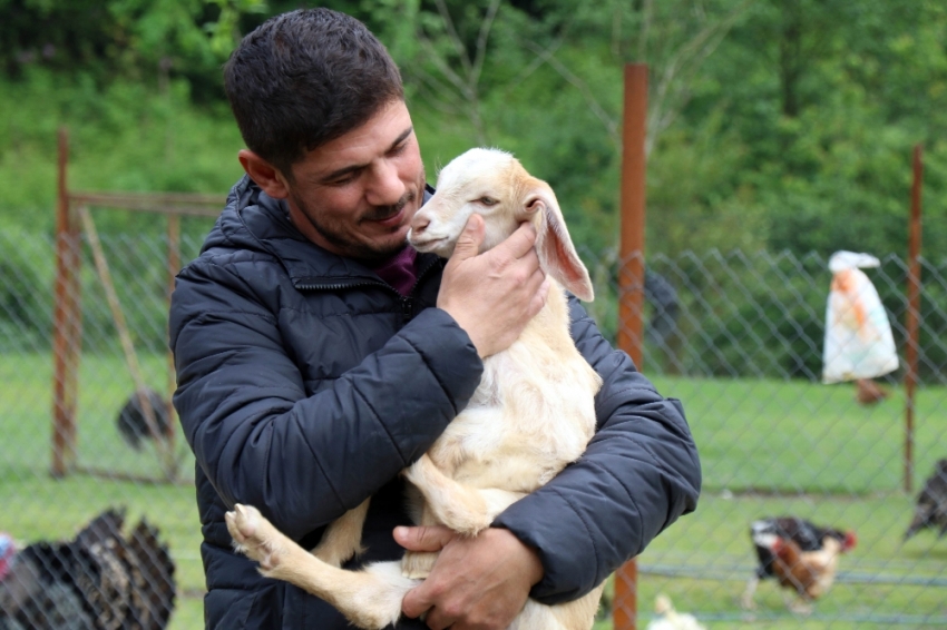 20 günlük keçiye evladı gibi bakıyor