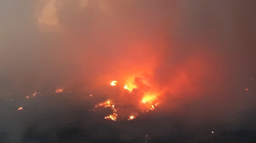 Kastamonu’da orman yangını