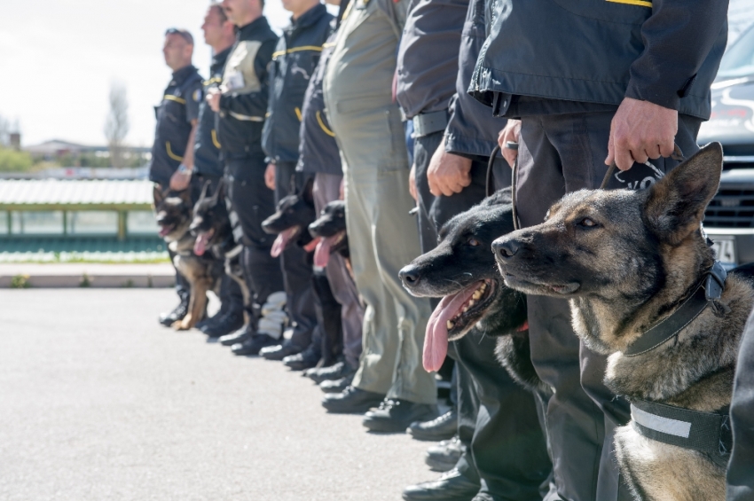 Başkent K-9 köpeklerine emanet