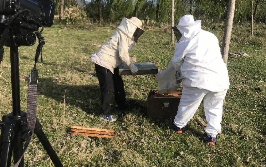 İznikli kız kardeşler yılda 1 ton bal üretiyor