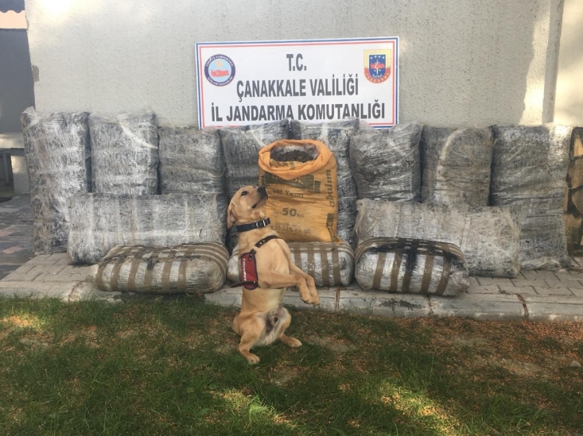 Piyasa değeri 66 milyon TL!