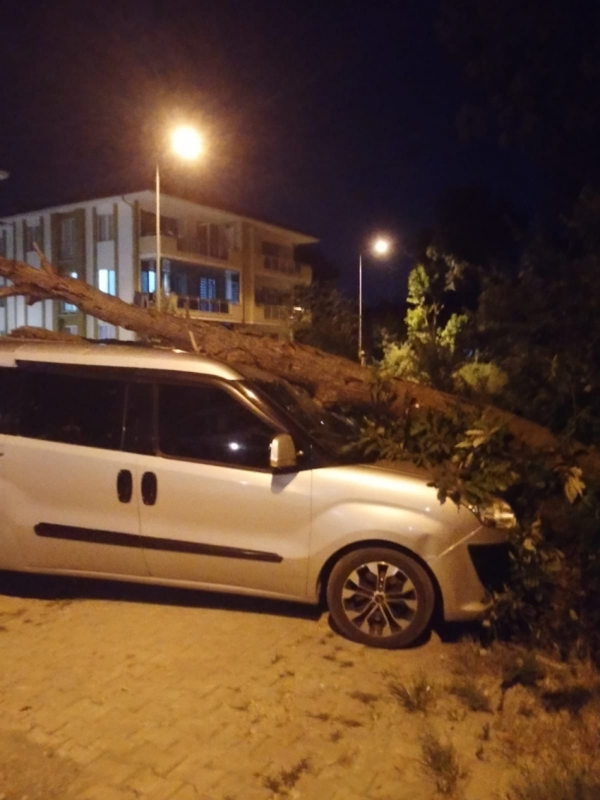 Kurumuş ağaç, park halindeki aracın üzerine devrildi