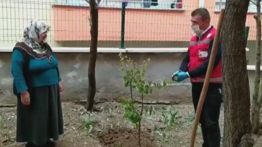 Sosyal destek grubundan fidan istedi