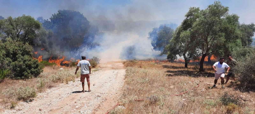 Temizlik ateşi, kontrolden çıkıp yangına dönüştü