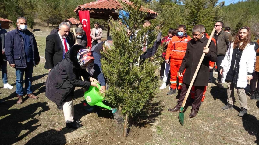 Bu fidanlar şehitlerin adıyla büyüyecek