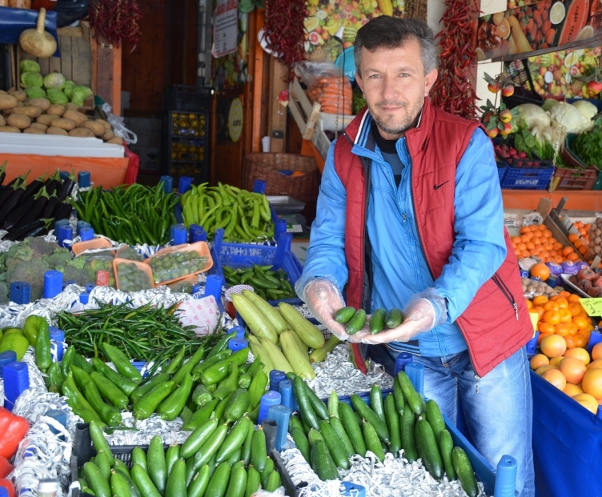 Zam şampiyonu salatalık oldu