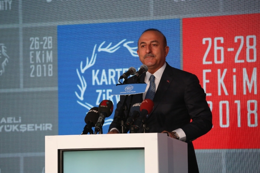 Çavuşoğlu’ndan göç sorununda işbirliği çağrısı