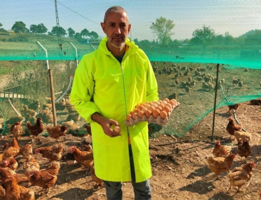 Yumurta üreticisi Bakan Pakdemirli’den destek istiyor