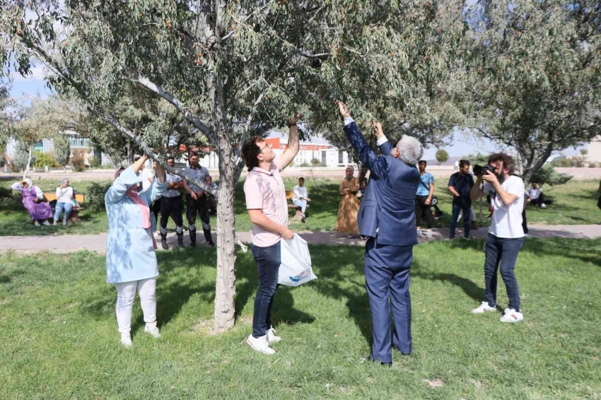 Rektör Şahin yarışa katıldı öğrencilerle kıyasıya iğde topladı