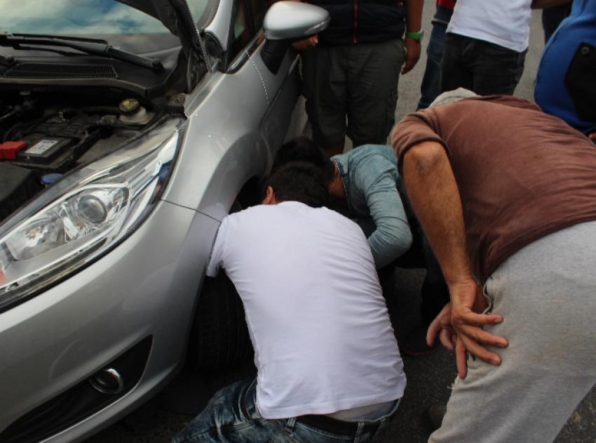 Yavru kedi için seferber oldular