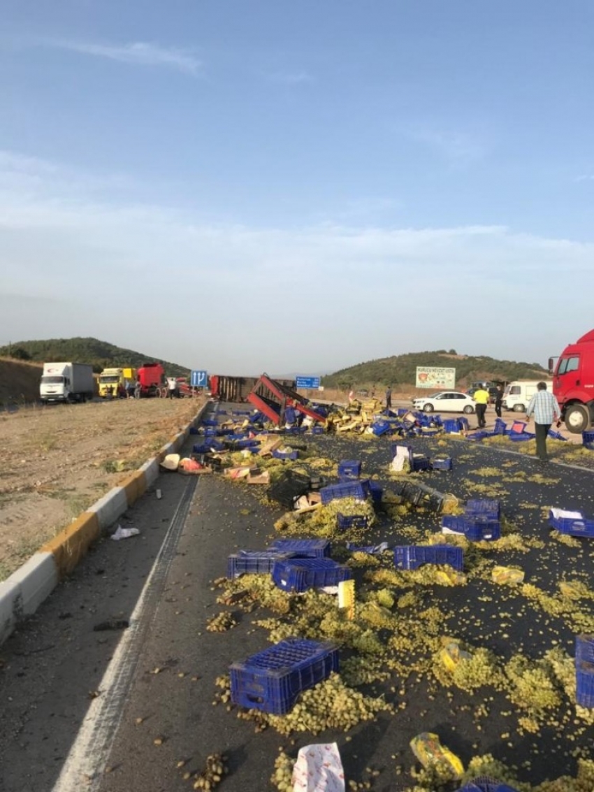 Tırın dorsesi devrildi, yol üzüm tarlasına döndü