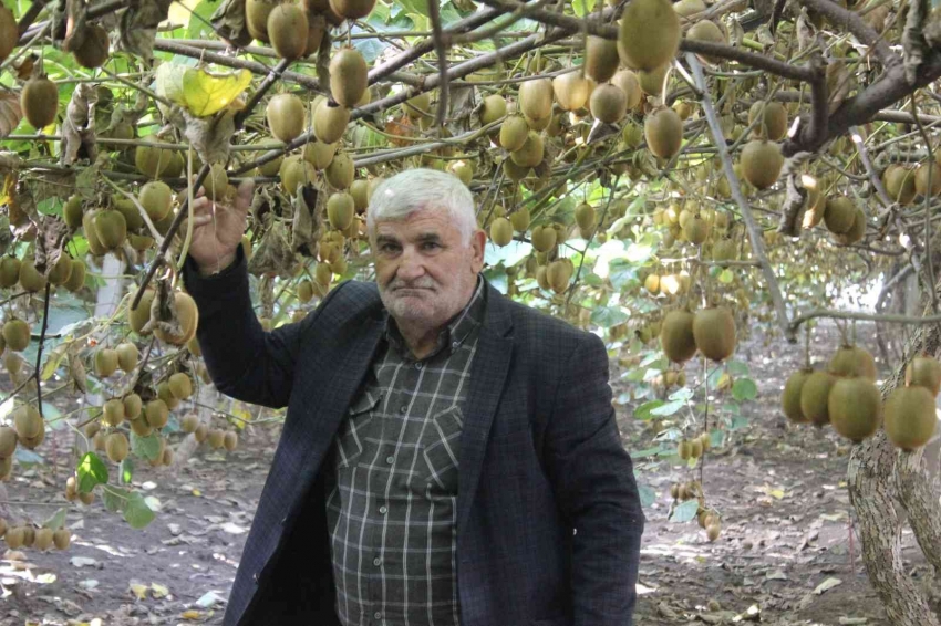 10 dönüm bahçeden 280 bin lira kazandı