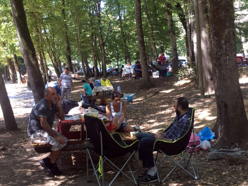 İstanbullular piknik alanlarına akın etti