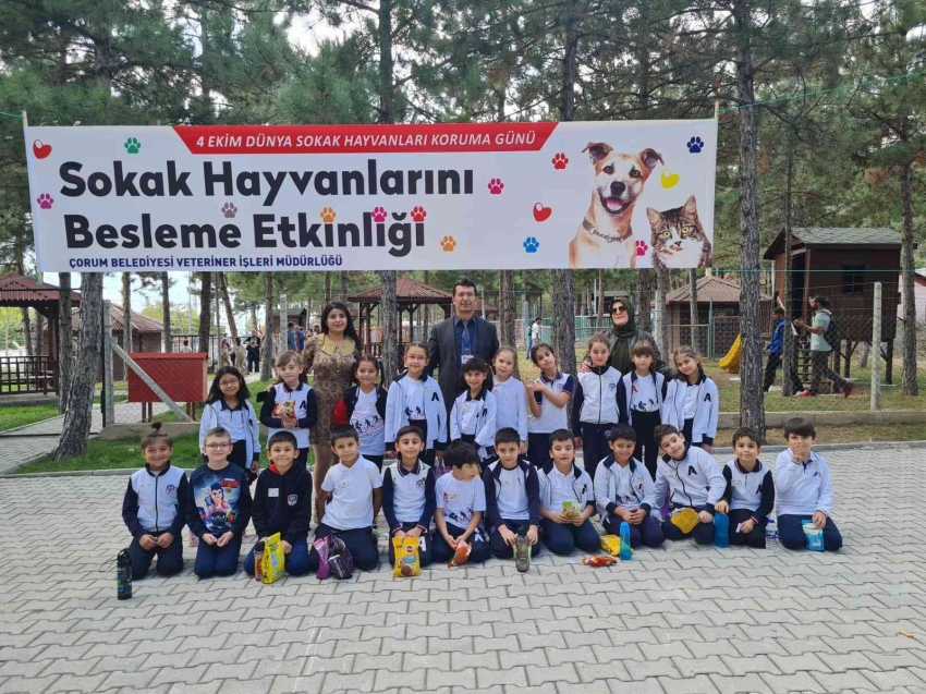 Öğrencilerden evcil hayvan parkına yoğun ilgi