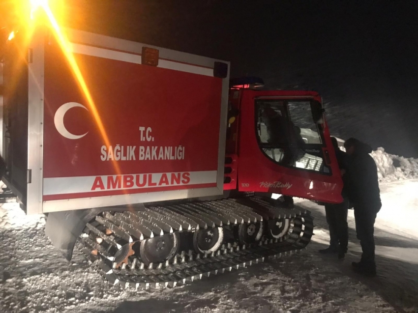 Ayılara yem vermeye giden ekip Nemrut Dağı’nda mahsur kaldı