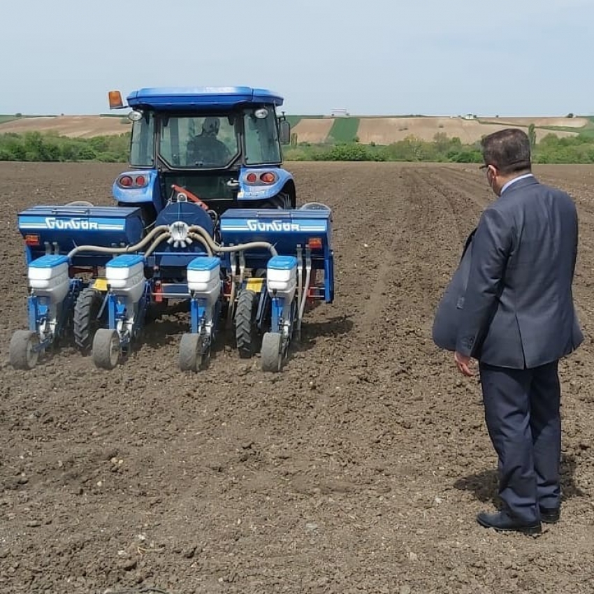 Yerli ve milli mısır ve ayçiçek tohumları toprak ile buluştu