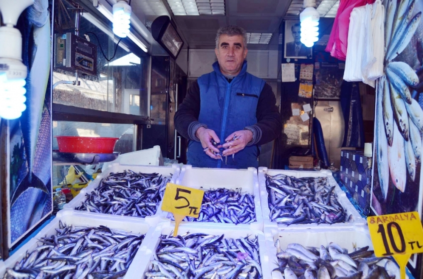 Hamsi fiyatı hızla düşüşe geçti