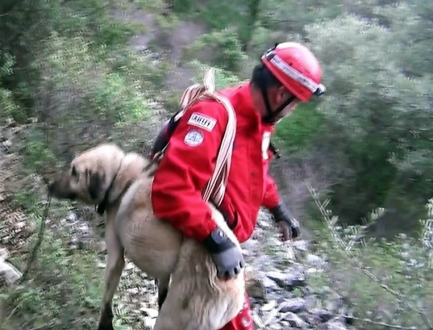 Kayıp köpek 5 saatlik operasyonla kurtarıldı