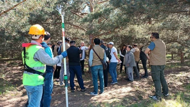 5 farklı ülkeden gelen temsilciler Kastamonu’daki tohum bahçelerini gezdi
