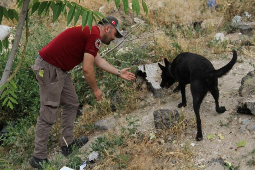 6 gündür kayıp olan Eylül hala bulunamadı