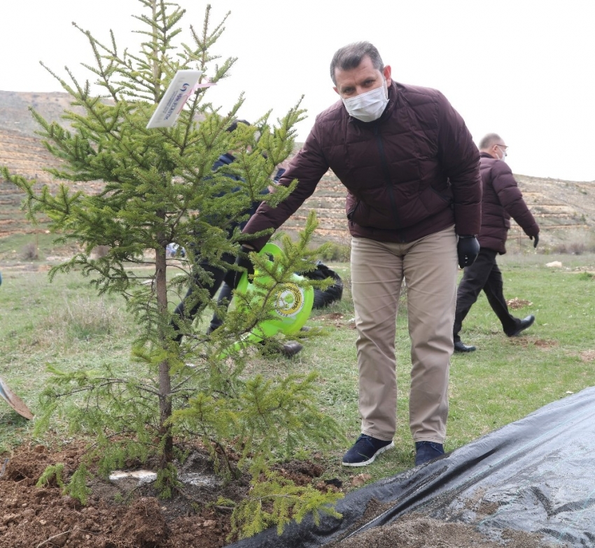 Doğan her bebek  için bir fidan dikilecek