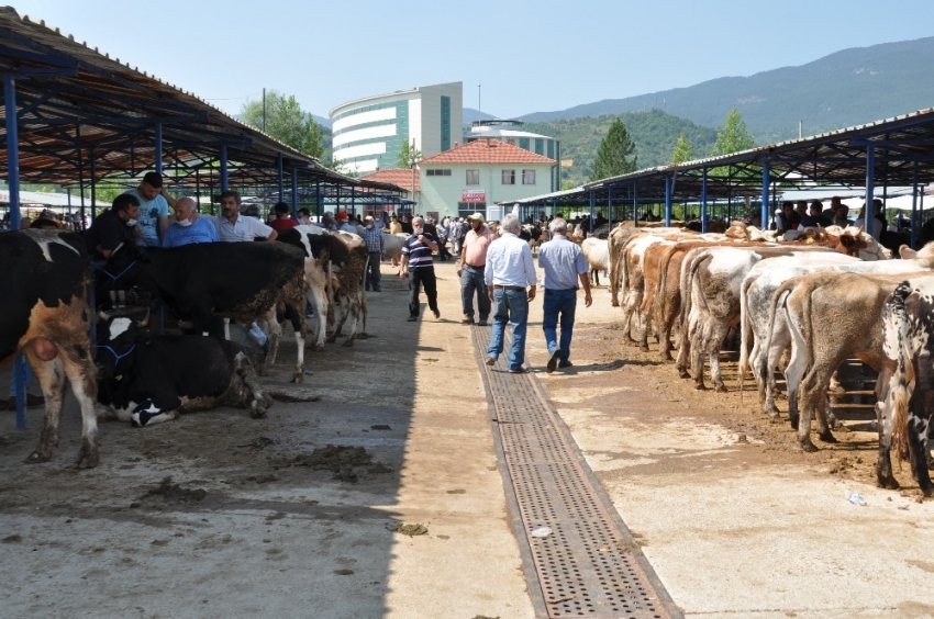 Kurban pazarında hareketli anlar yaşandı