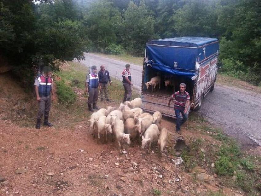 Bursa'da çaldılar İstanbul'da yakalandılar