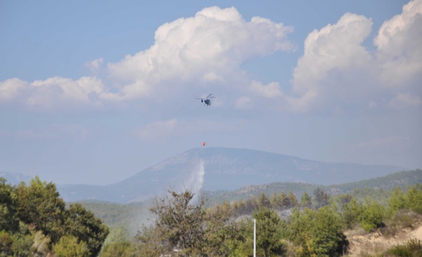 Manavgat'ta 2 ayrı orman yangını