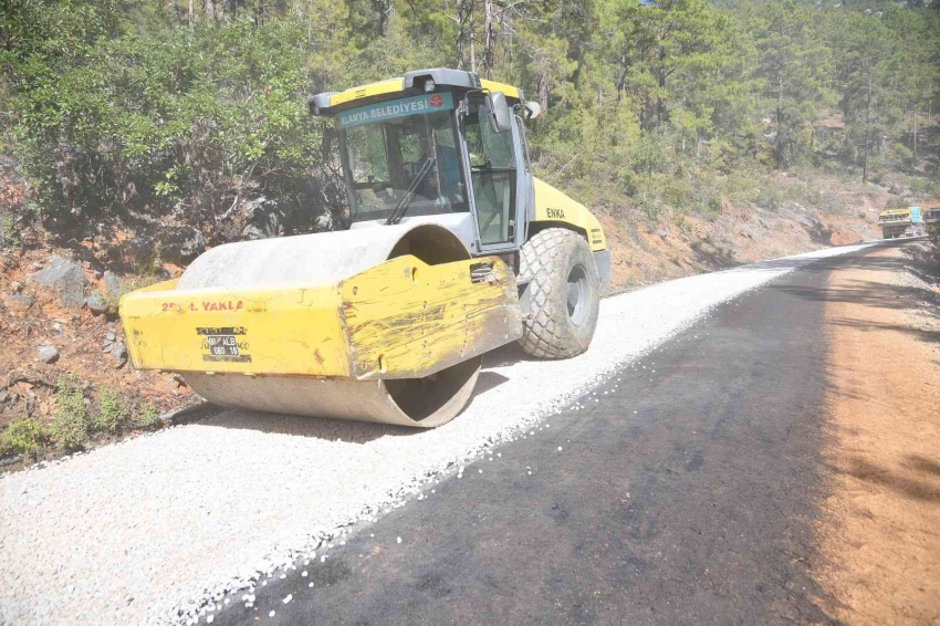 36 yıl sonra gelen yol sevinci