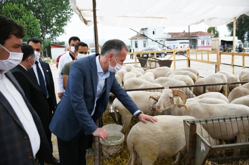 İnegöl’de hayvan pazarında hareketlilik başladı