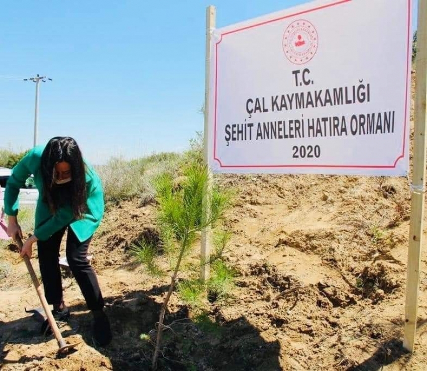 Çal’da şehit anneleri için hatıra ormanı oluşturuldu