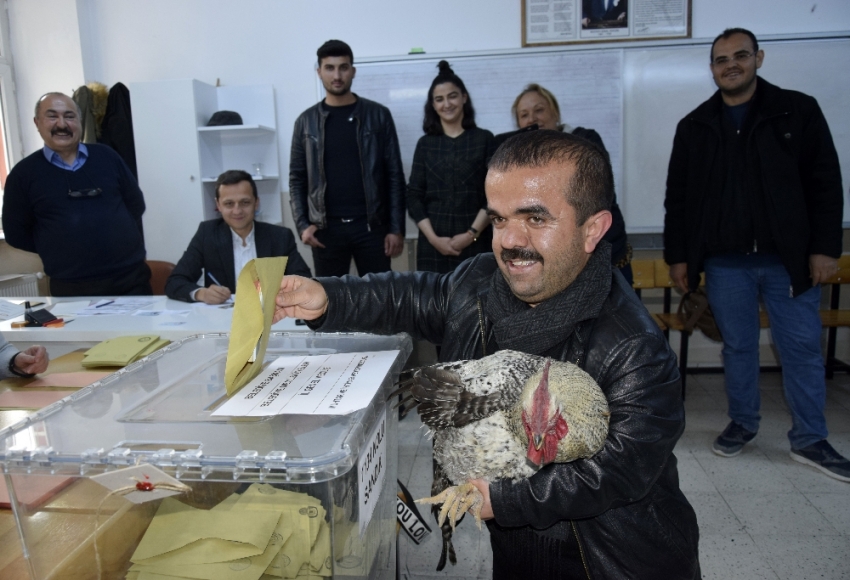 Oy kullanmaya çilli horozuyla geldi