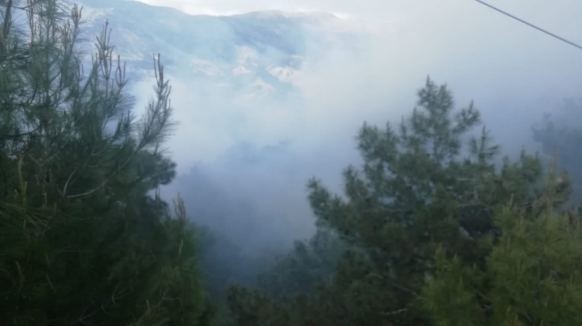 Adıyaman’da yangında 3 hektarlık orman zarar gördü