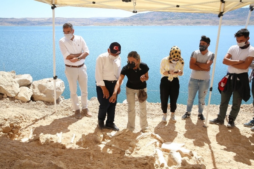 Anadolu’nun göbeğinde ’fosil’ hazinesi