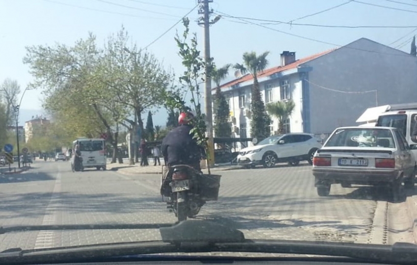 Ağaç taşıyan motosikletli kamerada