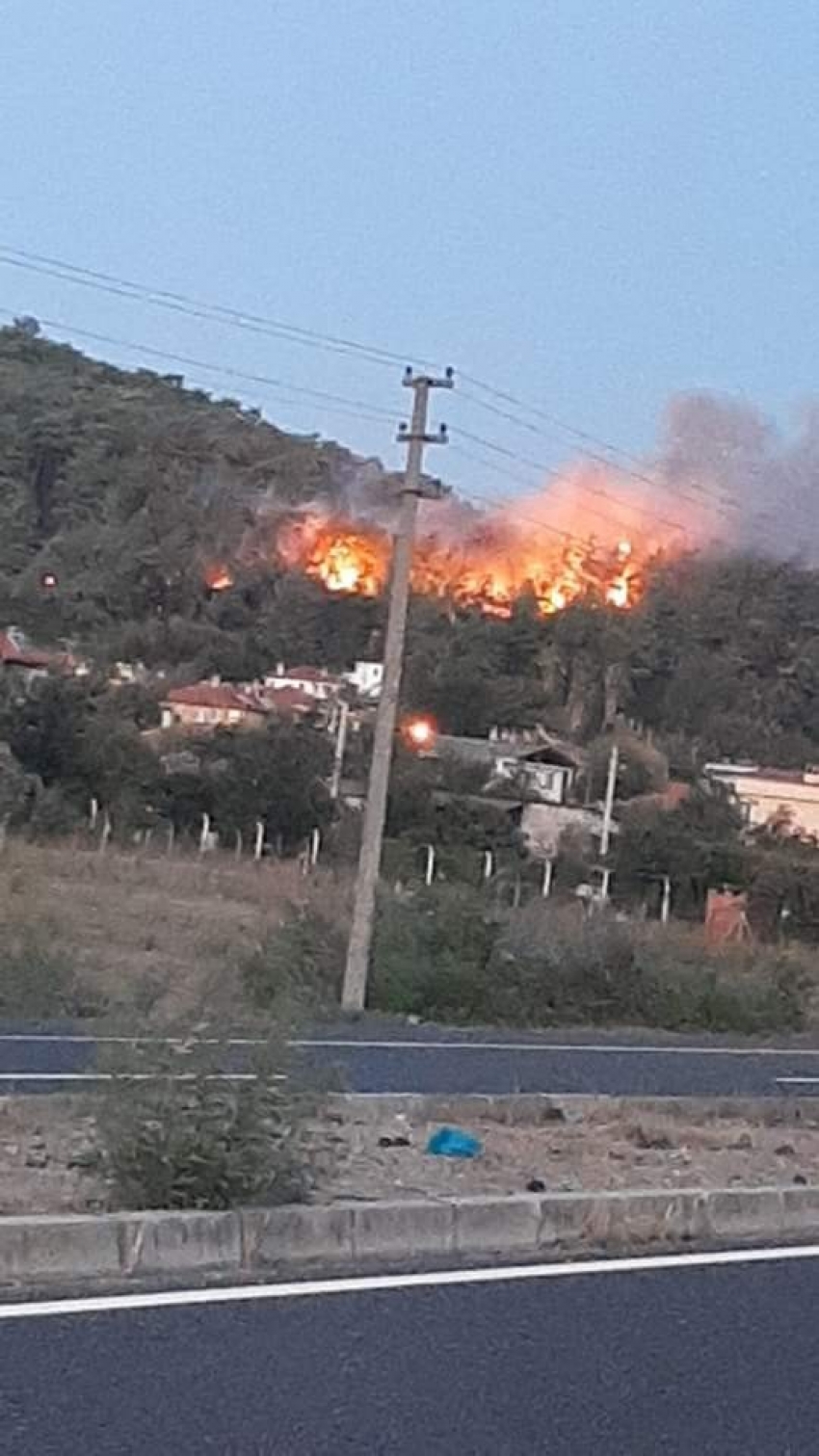 Orman yangını çıktı