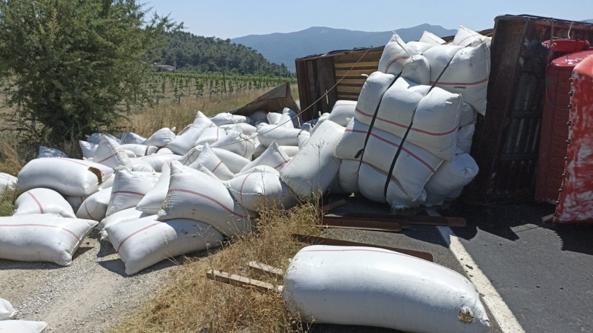 Tonlarca kekik devrilen kamyondan yola saçıldı