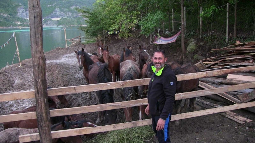 Ölüme terk edilen atlara barınak bulunamayınca genç turizmci tesisini açtı