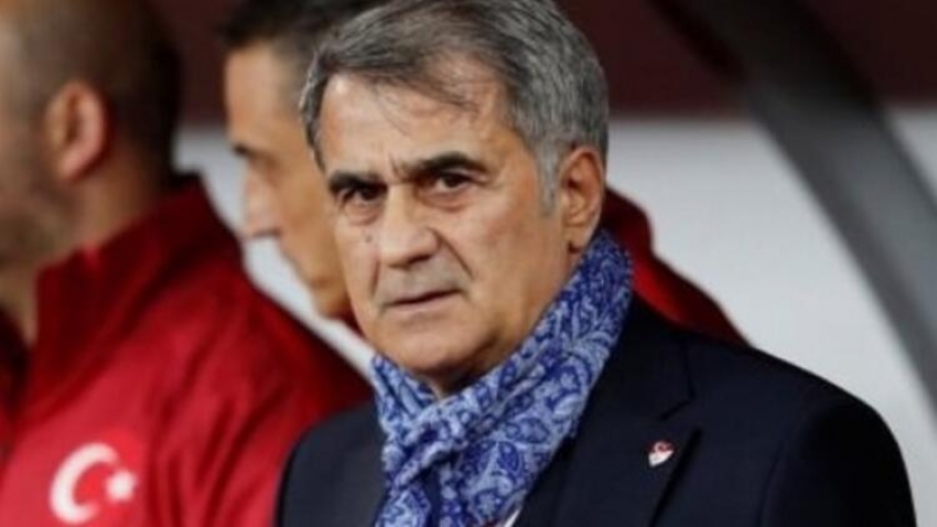 Şenol Güneş'in Milli Takım karnesi