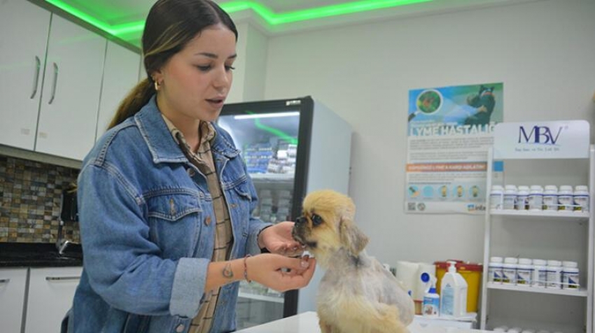 Ölüme terk edilen köpeğe cinsel saldırı şüphesi